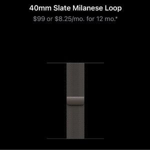 Apple Black Stainless Steel Watch Band
